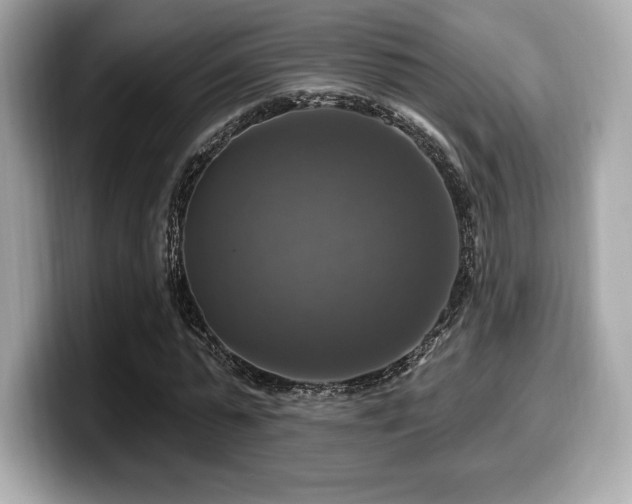 X0000099950775200805231321