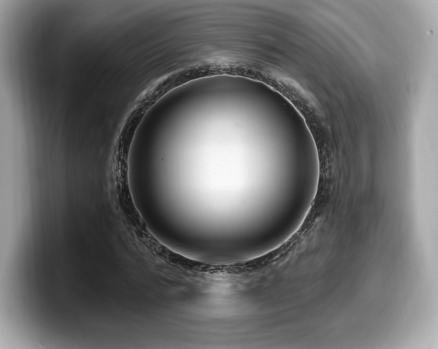 X0000099950776200805231321
