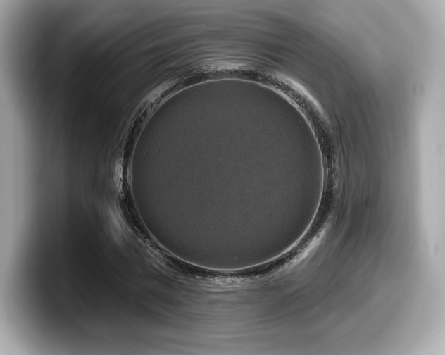 X0000099950777200805231321