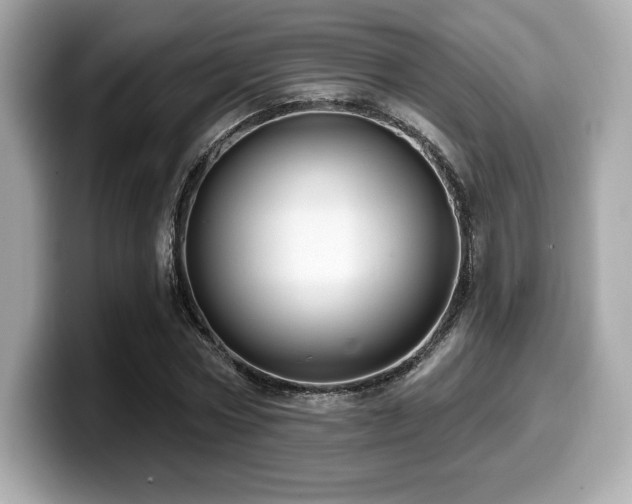 X0000099950778200805231321