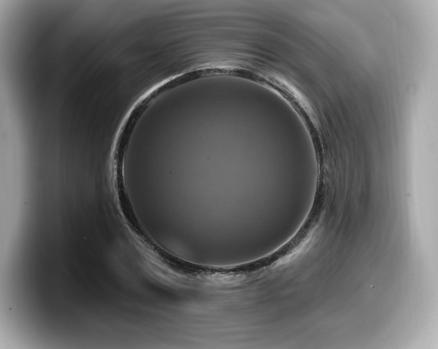 X0000099950779200805231321