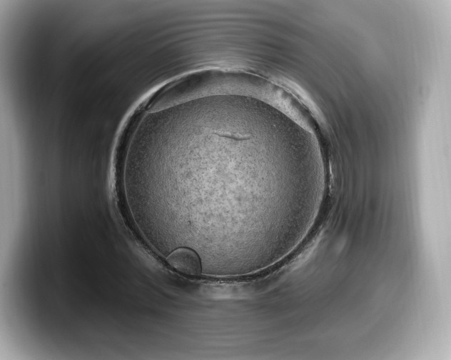 X0000099950780200805231321