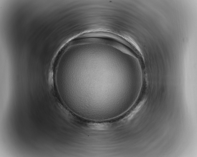 X0000099950781200805231321