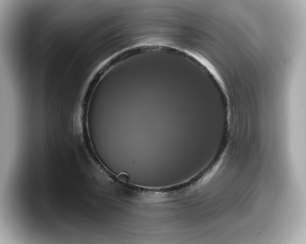 X0000099950783200805231321