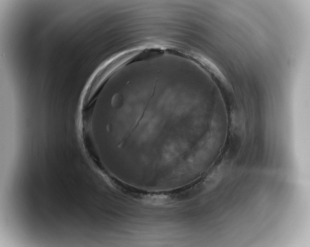 X0000099950784200805231321