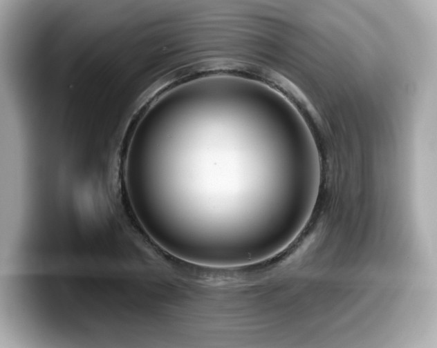X0000099950786200805231321