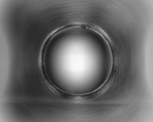 X0000099950787200805231321