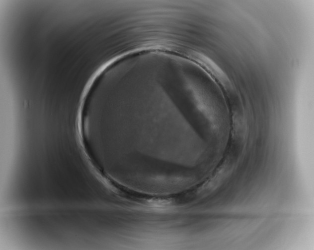 X0000099950788200805231321