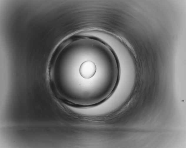 X0000099950789200805231321