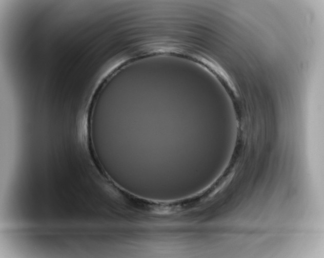X0000099950790200805231321