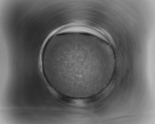 X0000099950792200805231321