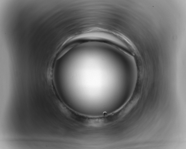 X0000099950793200805231321