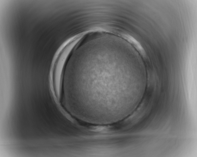 X0000099950796200805231321