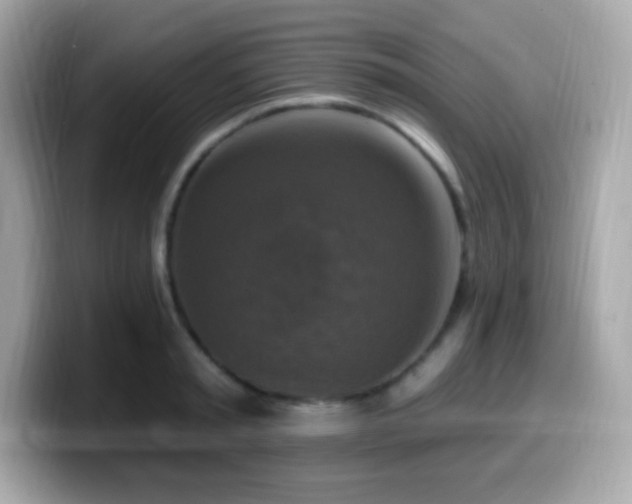 X0000099950797200805231320