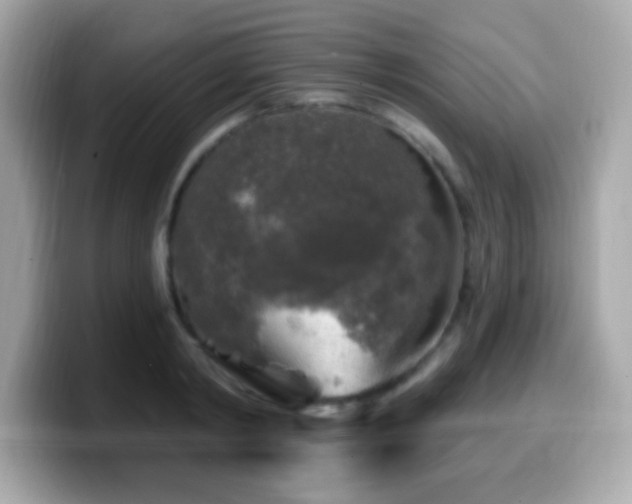 X0000099950798200805231320