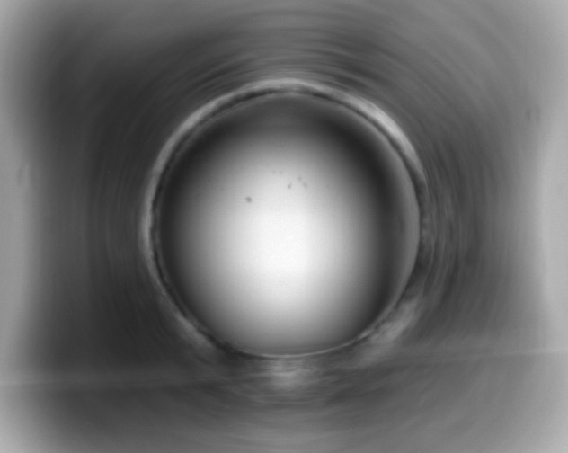 X0000099950799200805231320