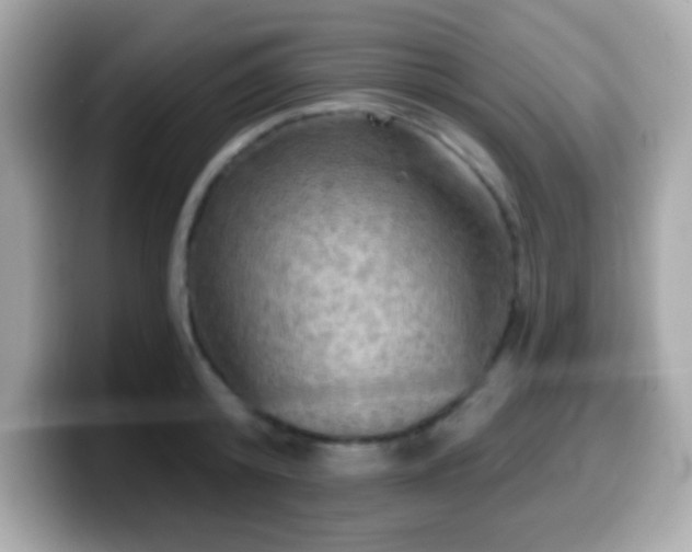 X0000099950800200805231320