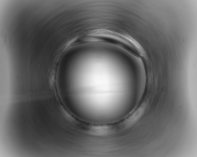 X0000099950801200805231320