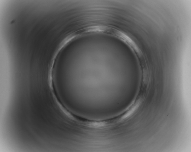 X0000099950802200805231320