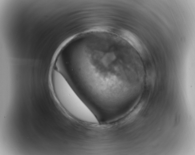 X0000099950804200805231320