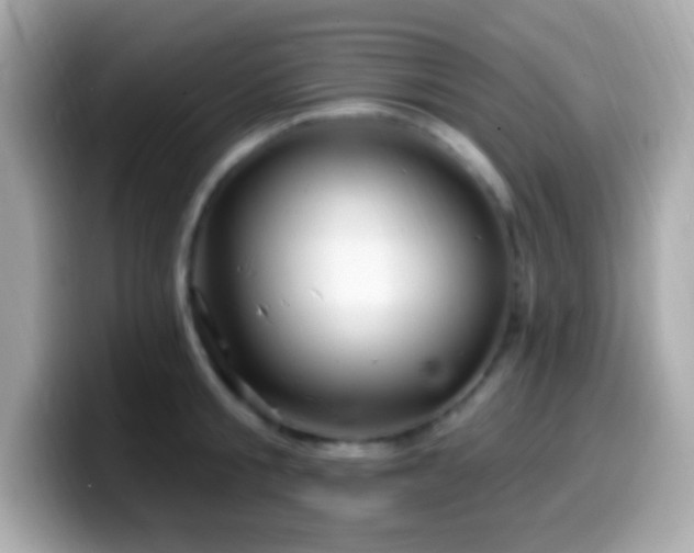X0000099950805200805231320