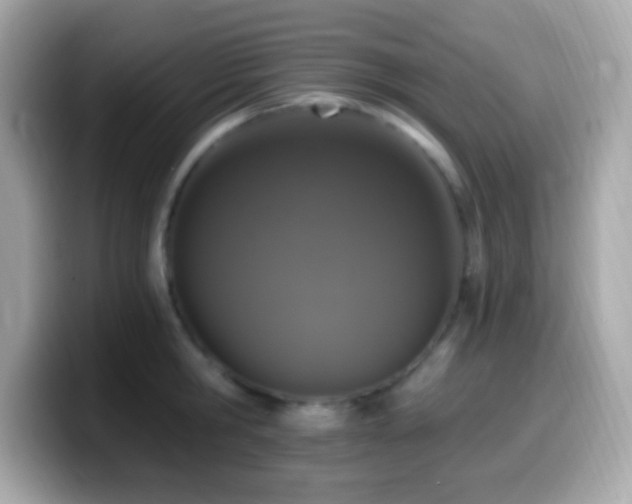 X0000099950806200805231320