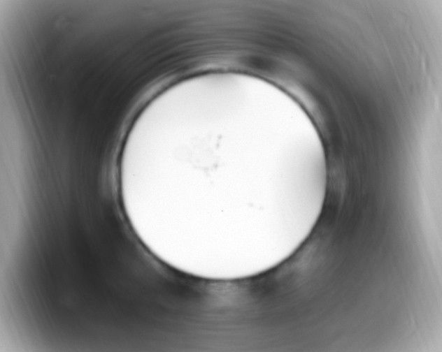X0000099950807200805231320