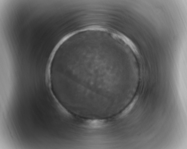 X0000099950808200805231320