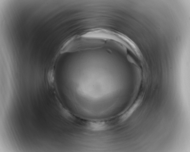 X0000099950809200805231320