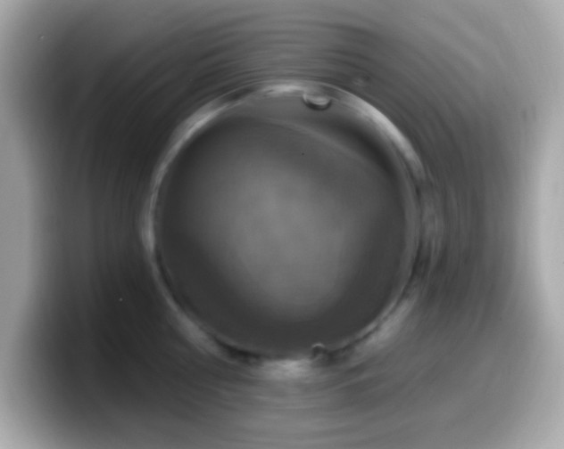 X0000099950810200805231320
