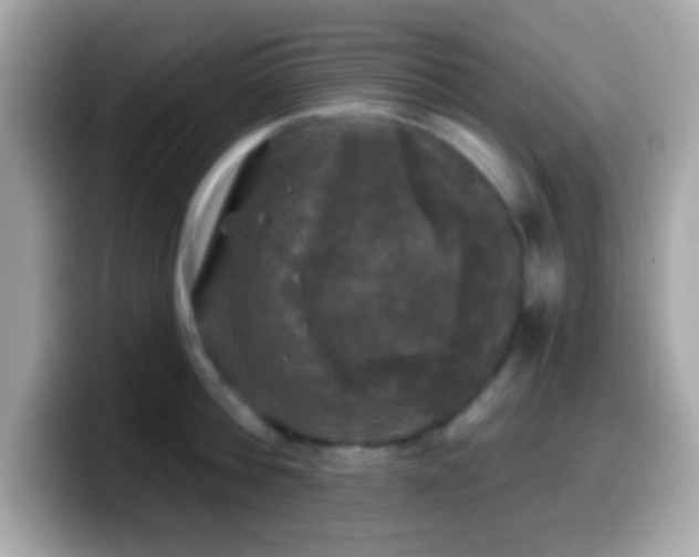 X0000099950812200805231320