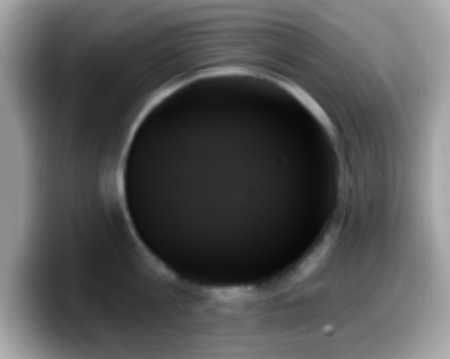 X0000099950813200805231320