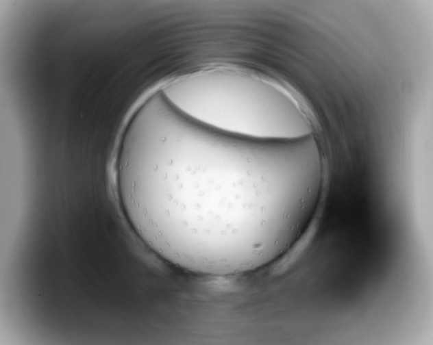 X0000099950814200805231320