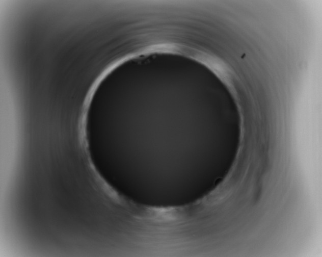 X0000099950816200805231320