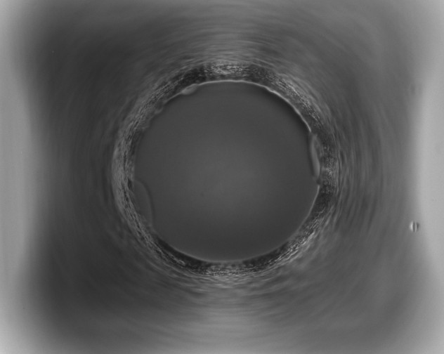 X0000099950817200805231320