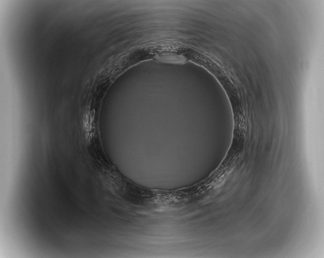 X0000099950818200805231320