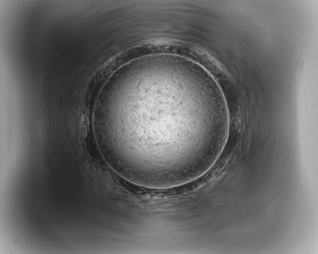 X0000099950821200805231320
