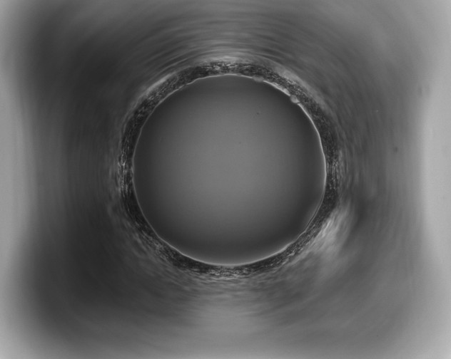 X0000099950822200805231320