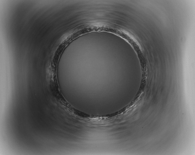 X0000099950823200805231320