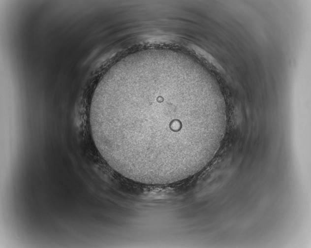 X0000099950824200805231320