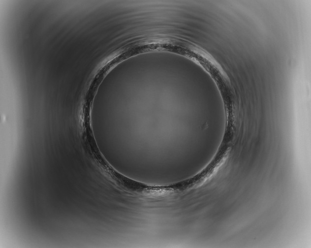 X0000099950826200805231320