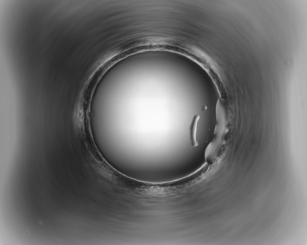 X0000099950827200805231320