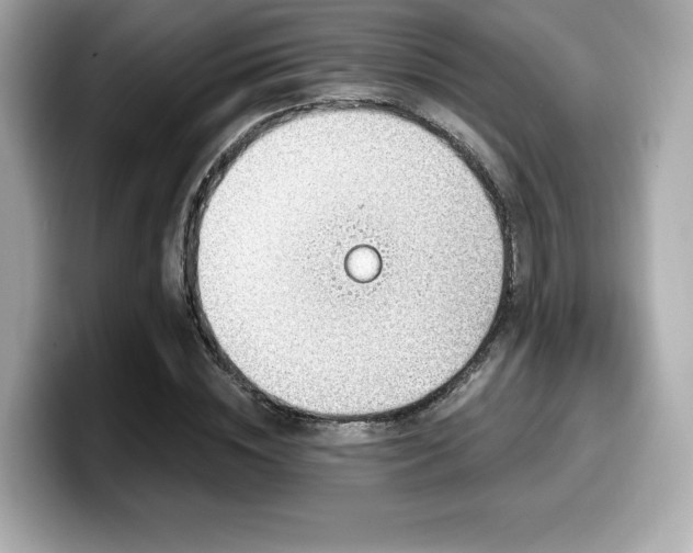 X0000099950828200805231320