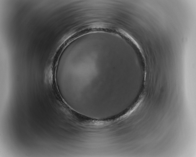 X0000099950829200805231320