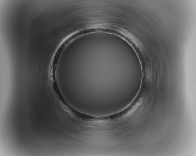 X0000099950830200805231320