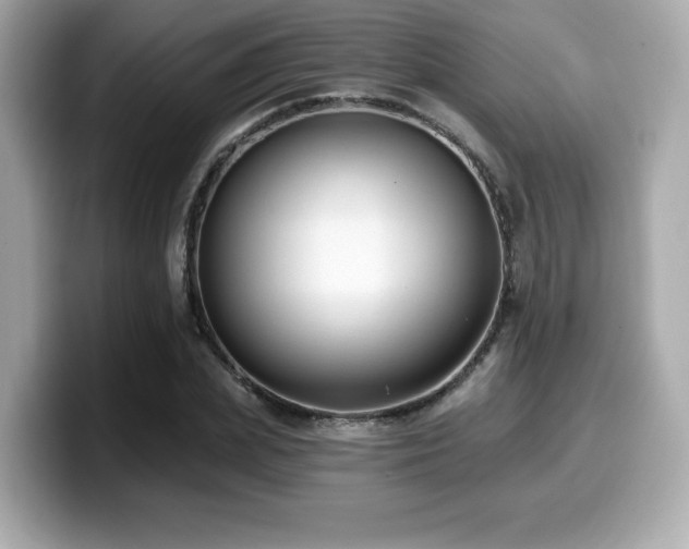 X0000099950831200805231320