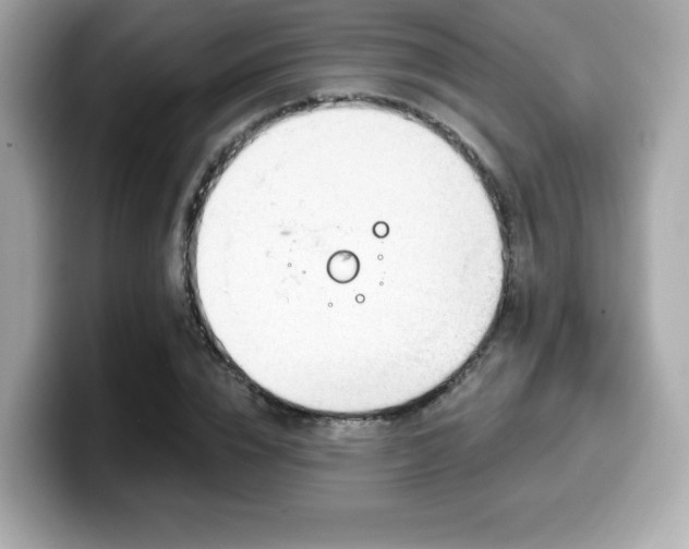 X0000099950832200805231320
