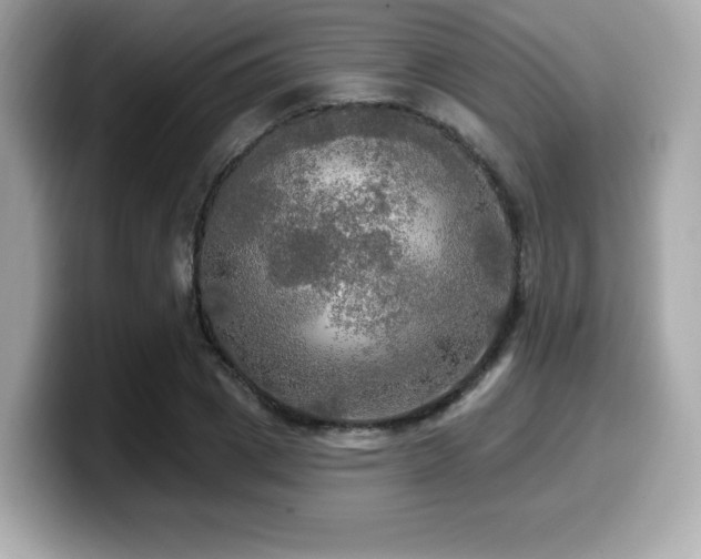 X0000099950833200805231320