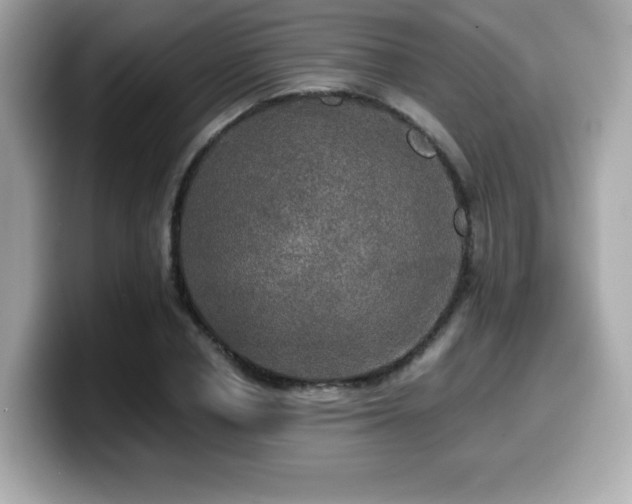 X0000099950834200805231320
