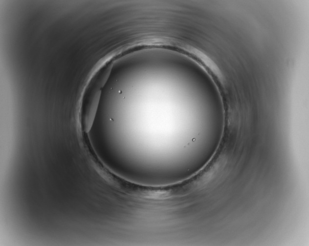 X0000099950837200805231320